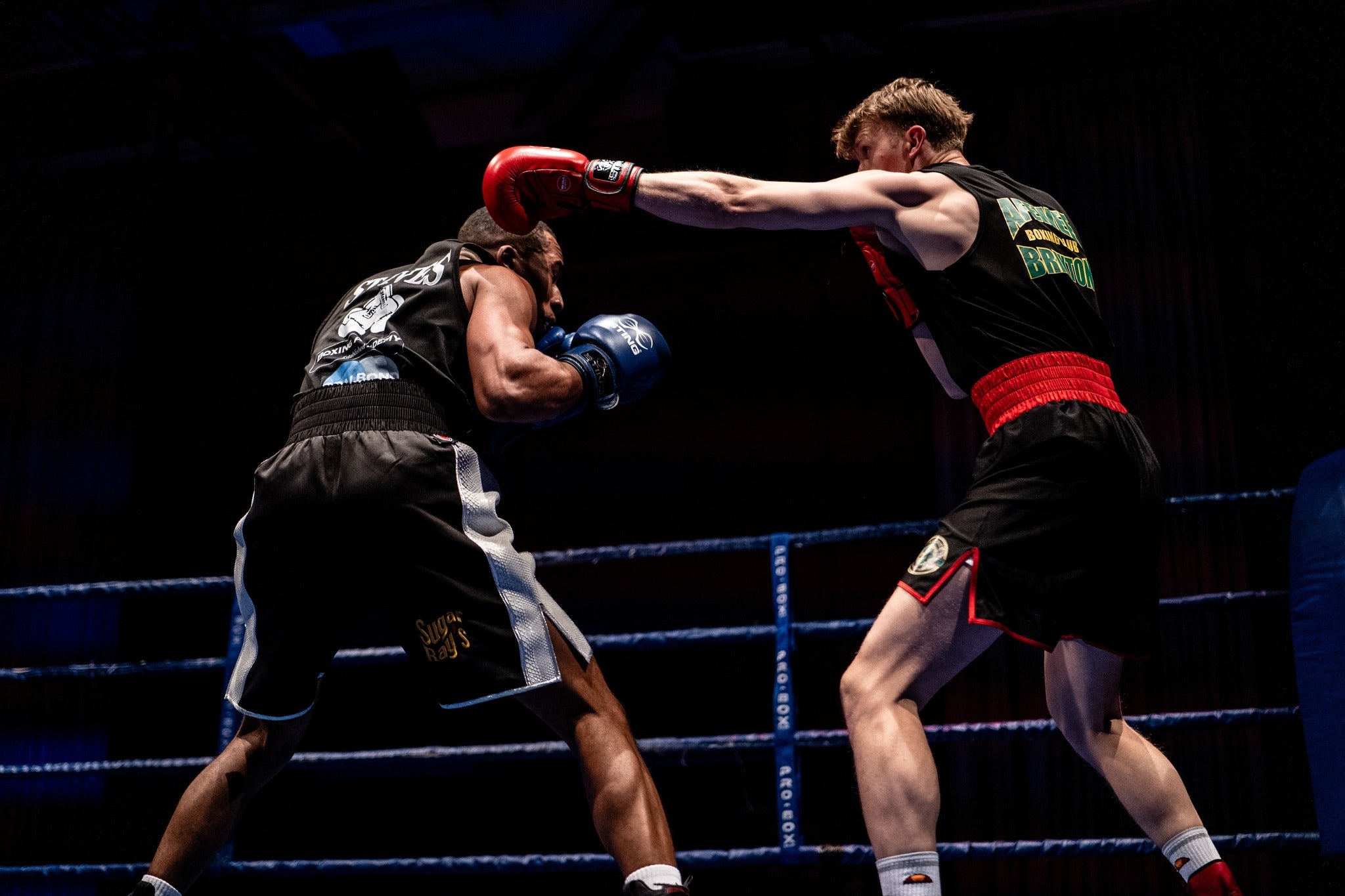 Two professional boxers throwing punches. One wears blue boxing gloves and the other wear red. 